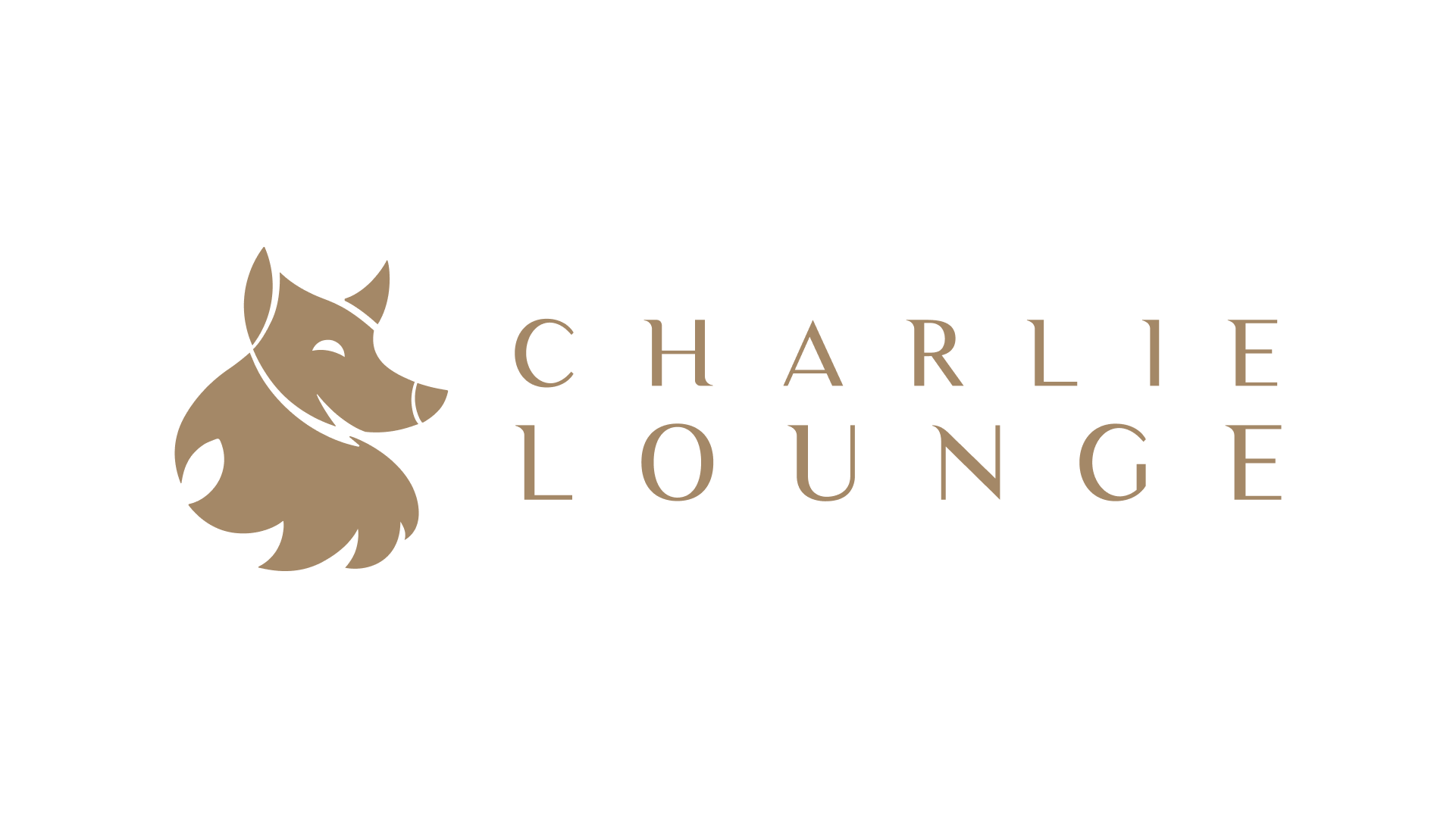 Revolutionize Your AI Experience with Charlie Lounge | Unified AI Hub